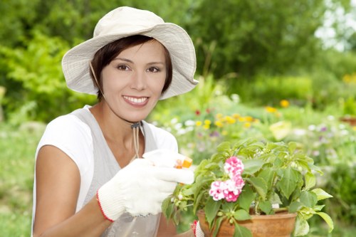 Close inspection of tree branches and canopy health