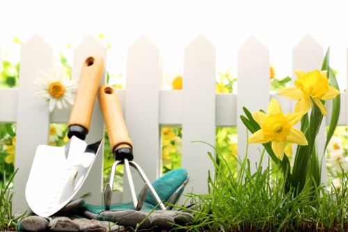 Tidy finished tree pruning service for a residential property in Wanstead