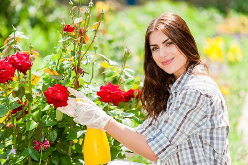 Tree inspection service for a property with limited access in Wanstead