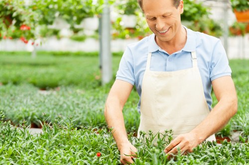 Supplier compliance audit documents for ethical tree surgery