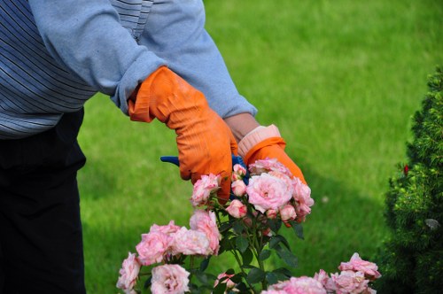 Professional arborist reviewing job details before tree work