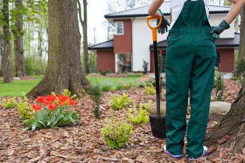 Updated cookie policy notice for Wanstead tree surgeons