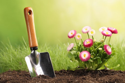 Stump grinding and tidy tree removal service in Wanstead